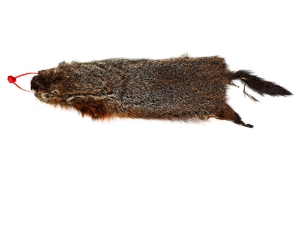 Groundhog Skin: Gallery Item 