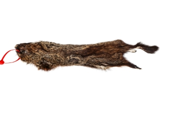 Groundhog Skin: Gallery Item 