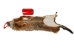 Groundhog Skin: Gallery Item - 557-G6536 (Y1GRJ)