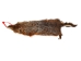 Groundhog Skin: Trading Post Grade: Gallery Item - 557-TP-G6673 (Y2O)