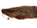 Groundhog Skin: Trading Post Grade: Gallery Item - 557-TP-G6674 (Y2O)