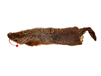 Groundhog Skin: Trading Post Grade: Gallery Item 