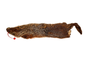 Groundhog Skin: Trading Post Grade: Gallery Item 