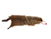 Groundhog Skin: Trading Post Grade: Gallery Item - 557-TP-G6675 (Y2O)
