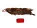 Groundhog Skin: Trading Post Grade: Gallery Item - 557-TP-G6676 (Y2O)