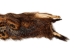 Groundhog Skin: Trading Post Grade: Gallery Item - 557-TP-G6676 (Y2O)