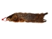 Groundhog Skin: Trading Post Grade: Gallery Item - 557-TP-G6676 (Y2O)