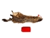 Groundhog Skin: Trading Post Grade: Gallery Item - 557-TP-G6677 (Y2O)