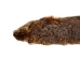 Groundhog Skin: Trading Post Grade: Gallery Item - 557-TP-G6678 (Y2O)