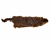 Groundhog Skin: Trading Post Grade: Gallery Item - 557-TP-G6678 (Y2O)