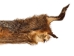 Groundhog Skin: Trading Post Grade: Gallery Item - 557-TP-G6679 (Y2O)