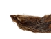 Groundhog Skin: Trading Post Grade: Small: Galley Item - 557-TPS-G6672 (Y2O)