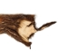 Groundhog Skin: Trading Post Grade: Small: Galley Item - 557-TPS-G6672 (Y2O)