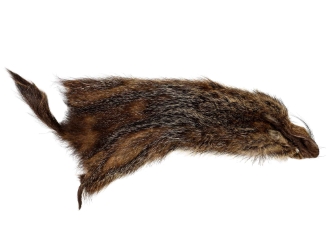 Groundhog Skin: Trading Post Grade: Small: Galley Item 