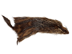 Groundhog Skin: Trading Post Grade: Small: Galley Item 