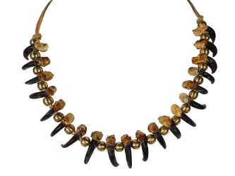 Real 20-Claw Coyote Necklace: Gallery Item 