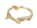 Bull Shark Jaw 8": Gallery Item  - 561-J16-08-G4905 (Y3KRF)