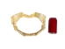Bull Shark Jaw 10.5": Gallery Item   - 561-J16-10-G4908 (Y3KRF)
