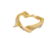 Bull Shark Jaw 10.5": Gallery Item   - 561-J16-10-G4908 (Y3KRF)
