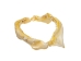 Bull Shark Jaw 10.5": Gallery Item   - 561-J16-10-G4908 (Y3KRF)