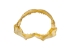 Bull Shark Jaw 10.5": Gallery Item   - 561-J16-10-G4908 (Y3KRF)