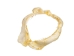 Bull Shark Jaw 12": Gallery Item - 561-J16-12-G4914 (Y3KRF)