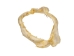 Bull Shark Jaw 12": Gallery Item - 561-J16-12-G4914 (Y3KRF)