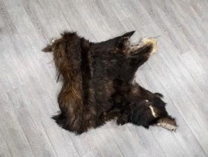 Moose Hide Quarter: Gallery Item 