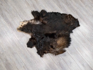 Moose Hide Quarter: Gallery Item 