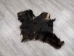 Moose Hide Quarter: Gallery Item - 575-QTR-G4962 (Y1HRG)