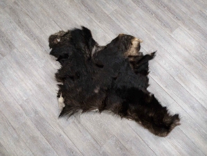 Moose Hide Quarter: Gallery Item 