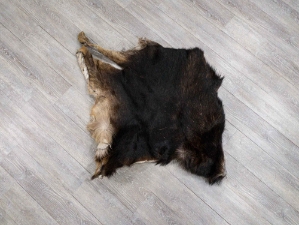 Moose Hide Quarter: Gallery Item 