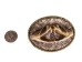 Real Rattlesnake Belt Buckle: Dueling Heads: Gallery Item - 598-BB402-G6601 (Y1ERJ)