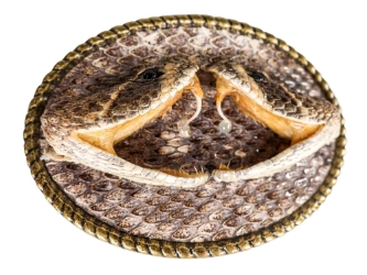 Real Rattlesnake Belt Buckle: Dueling Heads: Gallery Item 