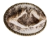 Real Rattlesnake Belt Buckle: Dueling Heads: Gallery Item - 598-BB402-G6602 (Y1ERJ)
