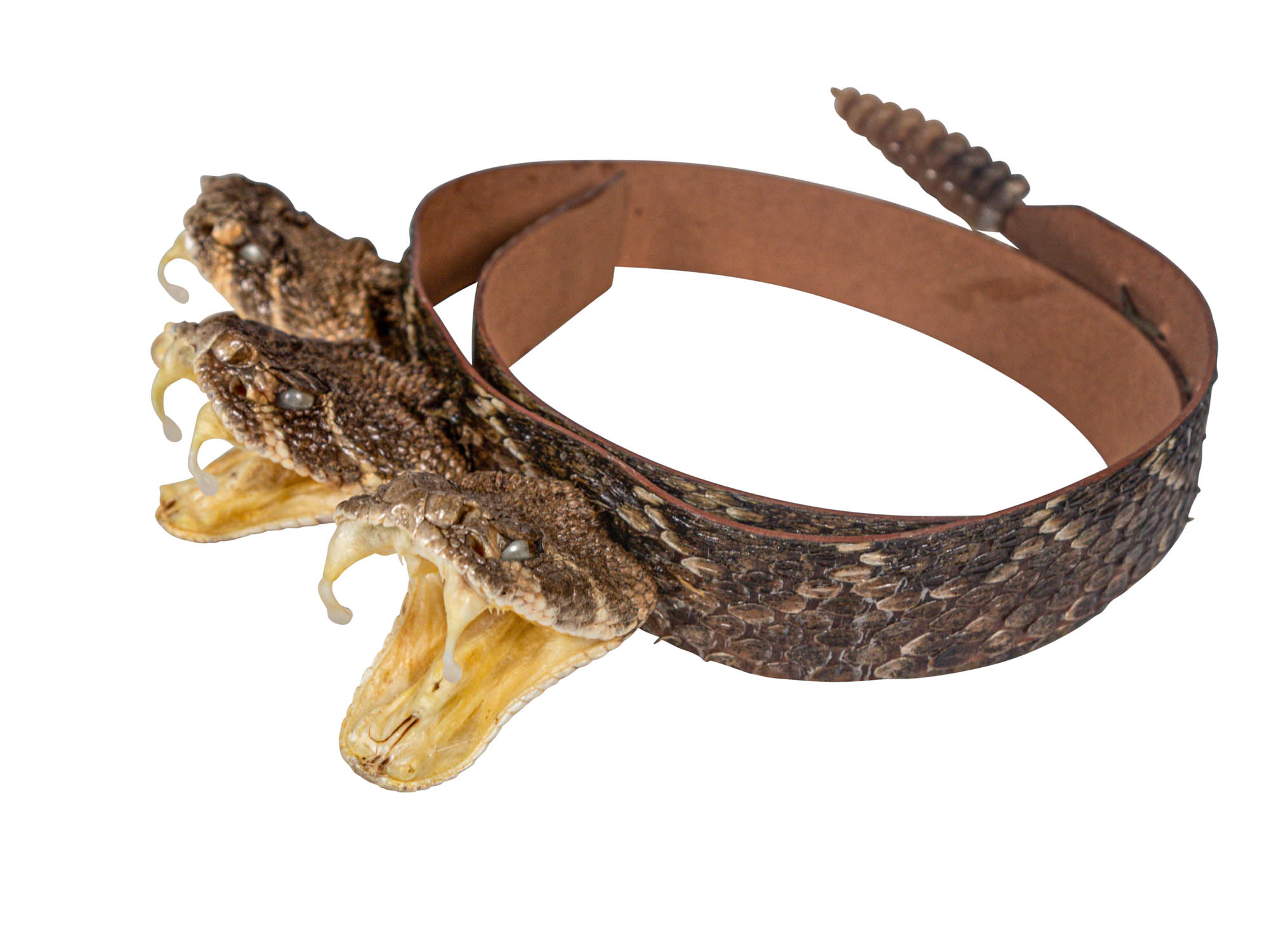 Genuine Rattlesnake Hat band with rattle.