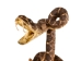 Mounted Real Texas Western Diamondback Rattlesnake Striker: 35": Gallery Item - 598-M102D-G6650 (Y2LRG)