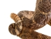 Mounted Real Texas Western Diamondback Rattlesnake Striker: 35": Gallery Item - 598-M102D-G6650 (Y2LRG)