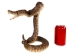 Mounted Real Texas Western Diamondback Rattlesnake Striker: 47": Gallery Item - 598-M102E-G6651 (Y2LRG)