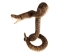 Mounted Real Texas Western Diamondback Rattlesnake Striker: 47": Gallery Item - 598-M102E-G6651 (Y2LRG)