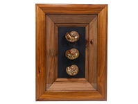 Framed Turbo Sarmaticus Shells: Gallery Item 