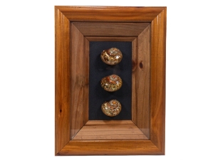 Framed Turbo Sarmaticus Shells: Gallery Item turban shells