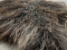 Angora Goatskin: Gallery Item - 66-A-G4935 (Y3DRA)