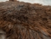 Angora Goatskin: Gallery Item - 66-A-G4936 (Y3DRA)