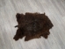 Angora Goatskin: Gallery Item - 66-A-G4936 (Y3DRA)