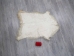 Angora Goatskin: Gallery Item - 66-A-G4937 (Y3DRA)