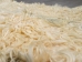 Angora Goatskin: #1: X-Large: Multi-Color: Gallery Item - 66-A1XL-MC-G4973 (Y3DRD)