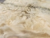 Angora Goatskin: #1: X-Large: Multi-Color: Gallery Item - 66-A1XL-MC-G4974 (Y3DRD)