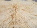 Angora Goatskin: #1: X-Large: Multi-Color: Gallery Item - 66-A1XL-MC-G4977 (Y3DRD)