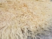 Angora Goatskin: #1: X-Large: Multi-Color: Gallery Item - 66-A1XL-MC-G4978 (Y3DRD)
